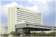 千葉大学大学院医学研究院