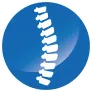 ZedSpine